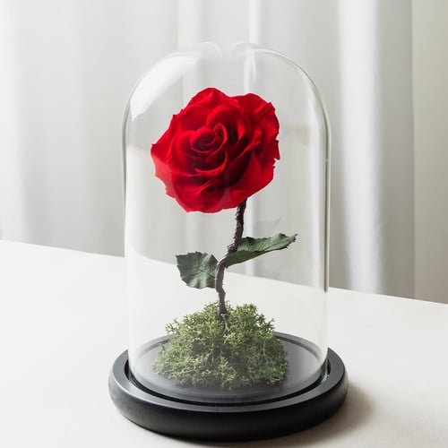 紅色永生玫瑰花玻璃罩封面-喜歡生活乾燥花店-1