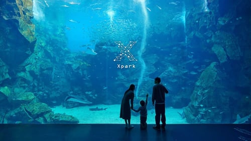 0828-Blog-中秋好去處-Xpark