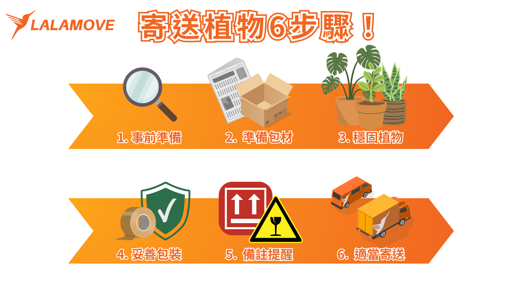 掌握6步驟！寄送植物更穩固