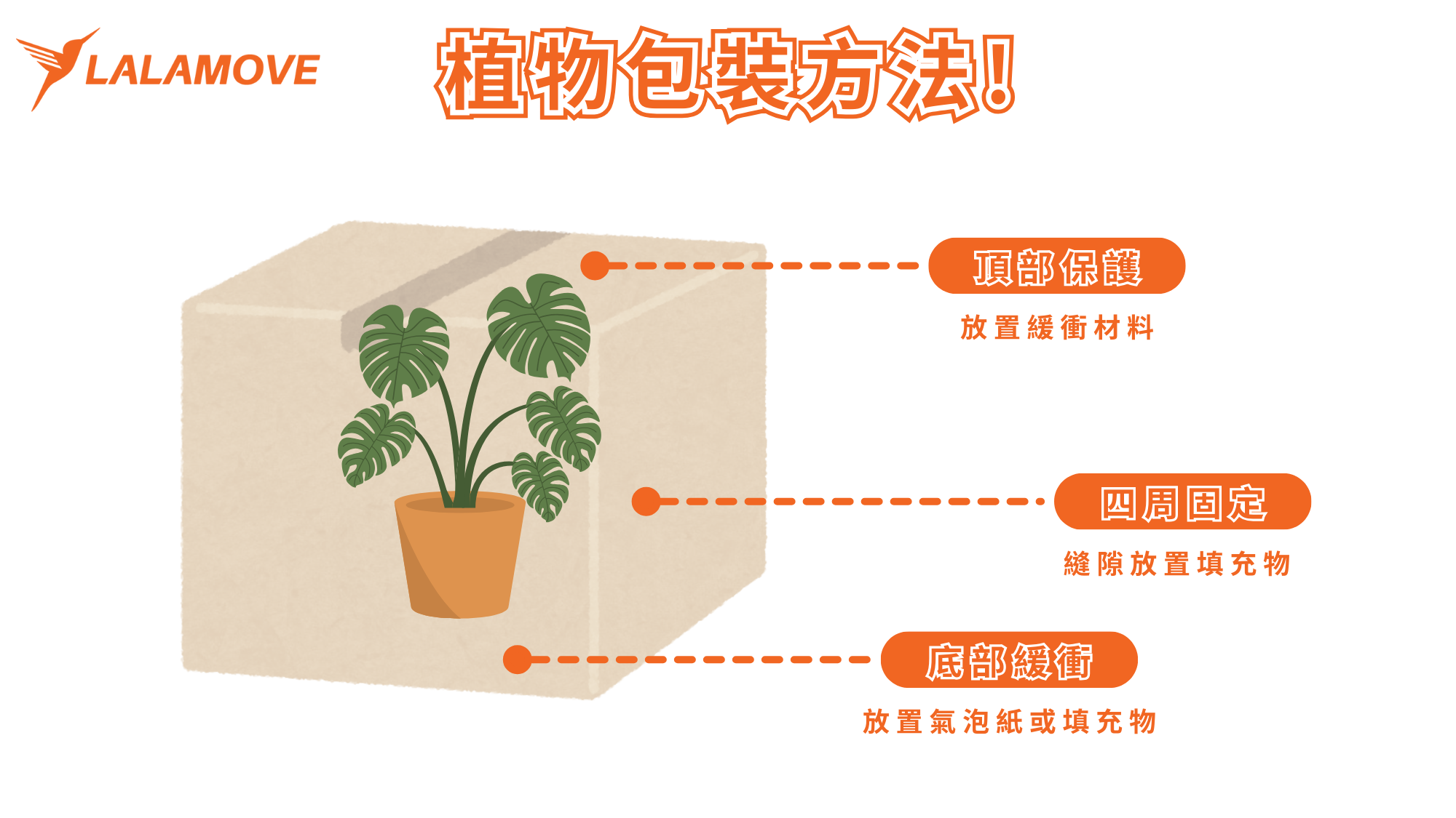 植物包裝方式