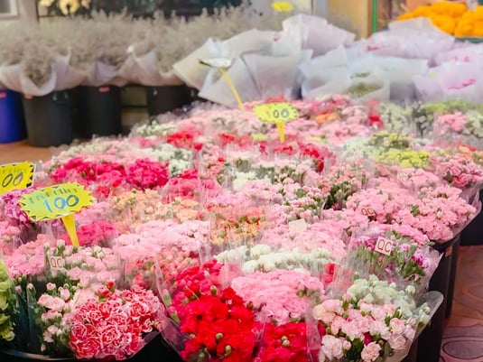 5364bc30-89b5-11ed-8b78-b5053d8f10d9_webp_original