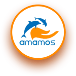 Amamos
