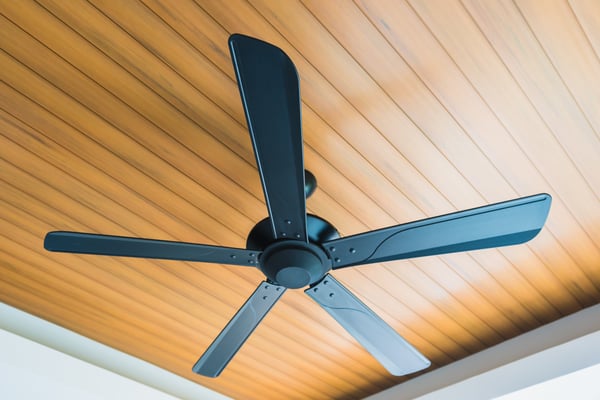 Ceiling fan