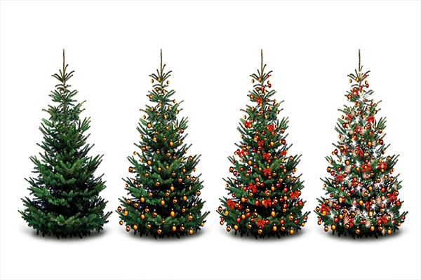 Deliver your Christmas tree for Christmas with Lalamove
