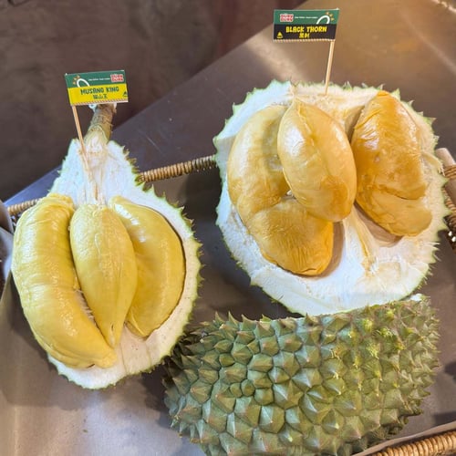 Dury Dury Durian-1