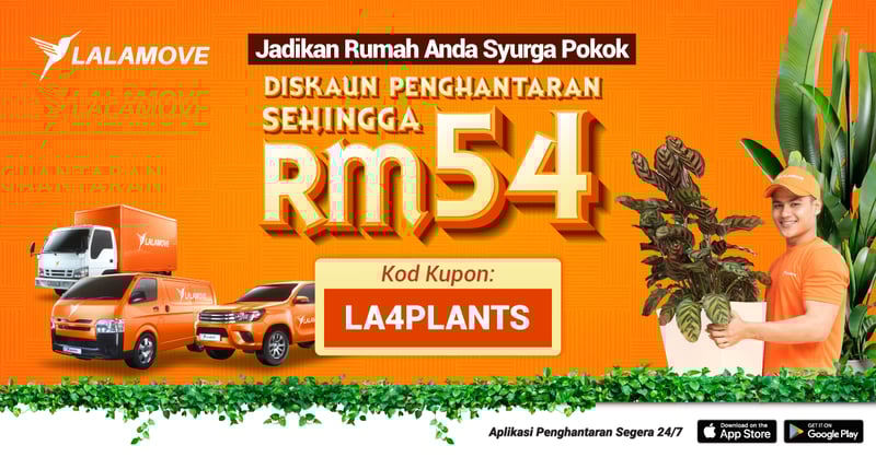 Evergreen_EDM_1200x628 (2)