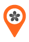 Flower Real Time ICON 