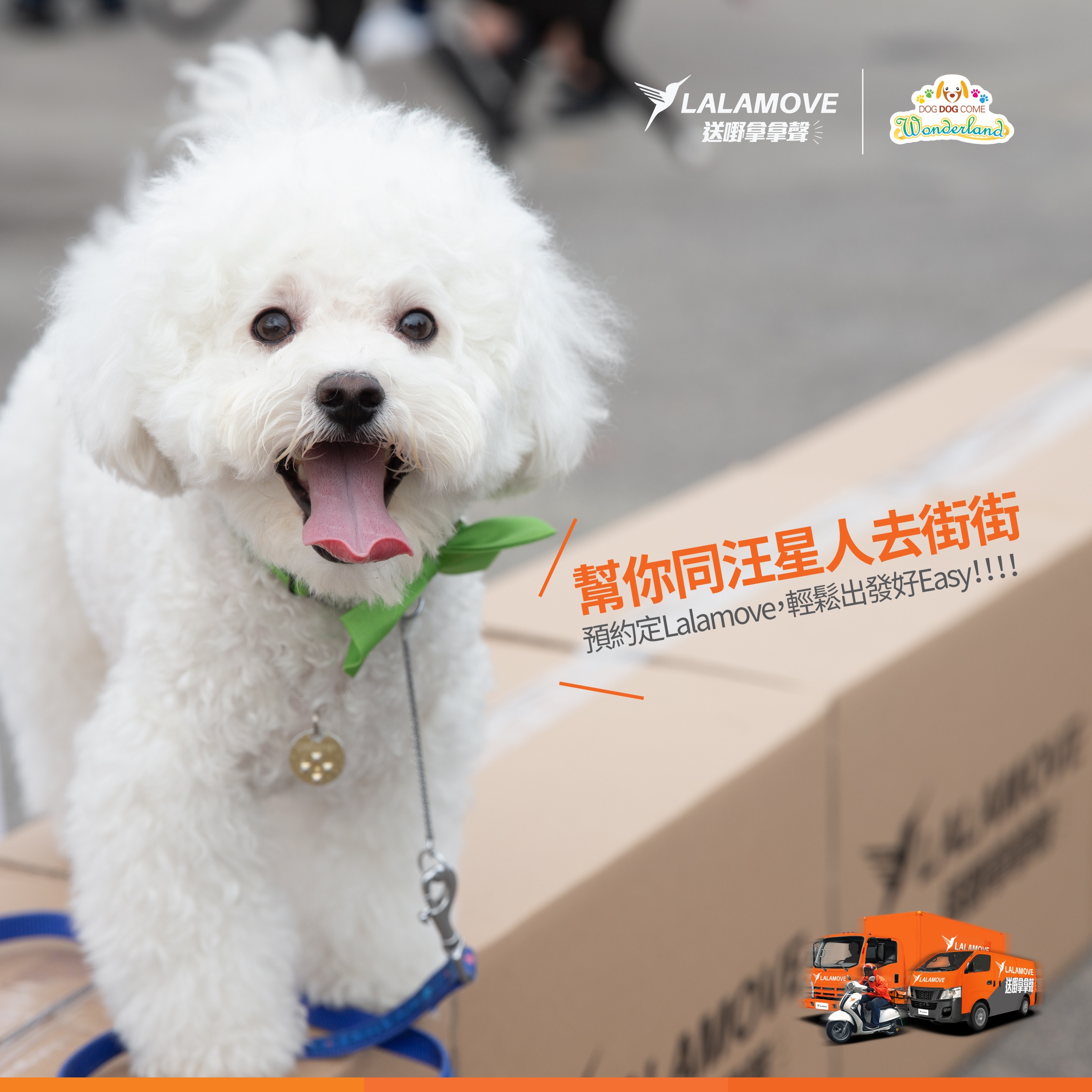 HK_fb_ad_DDC_20180507-01