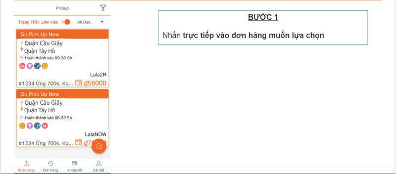 b1