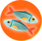 Icon3 (3)