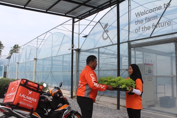 Lalamove helps urban farming company Cultiveat