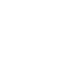 Logo birdy white-1