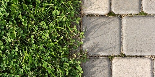 Paving Model Grass Block