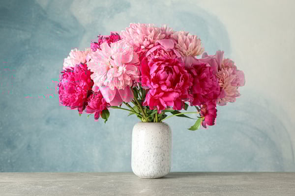 Peonies