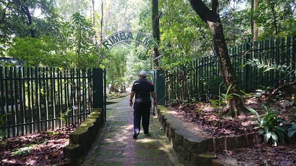 Rimba Ilmu Botanical Gardens