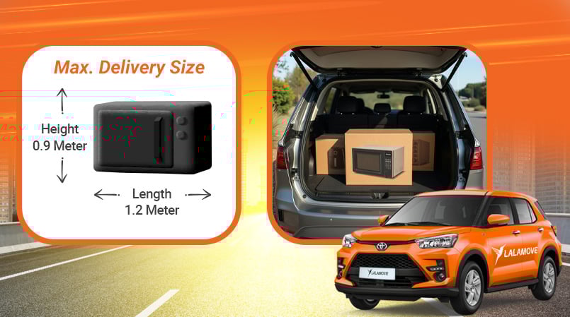 SUV 300KG (1)