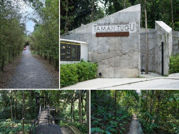 Taman Tugu Forest Trail