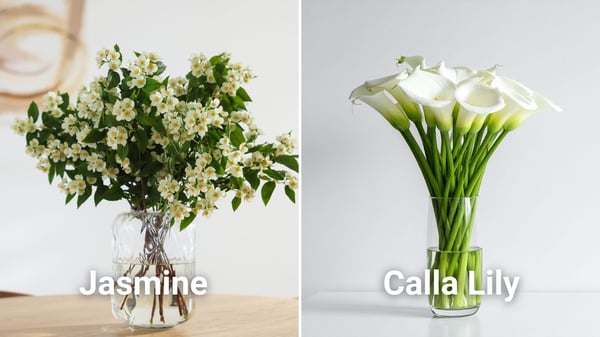 auspicious flowers for the year of the horse