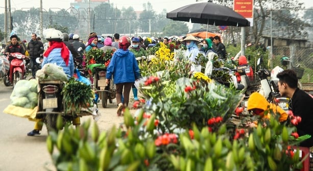 cac-loai-hoa-dac-trung-tai-cho-hoa-me-linh