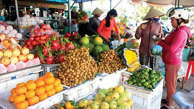chọn trái cây