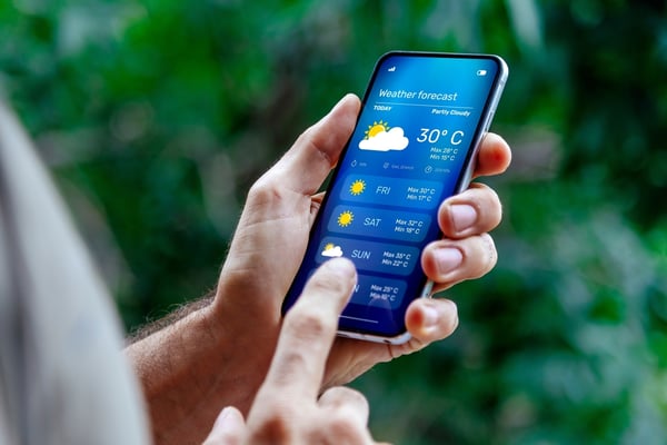 check weather forecast
