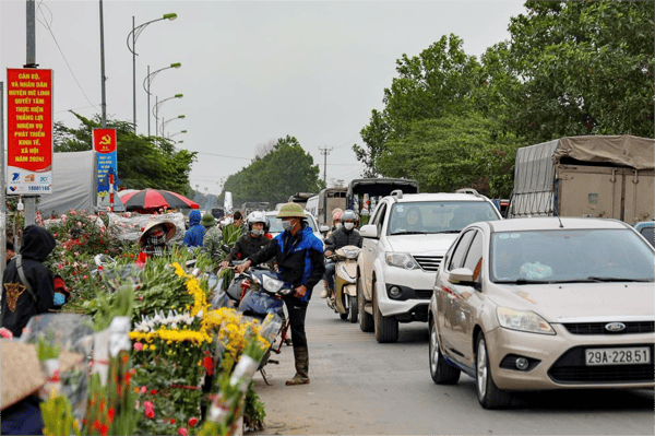 cho-hoa-me-linh-o-dau