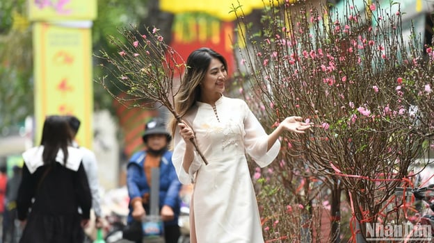 cho-hoa-tet-ha-noi-2026-02