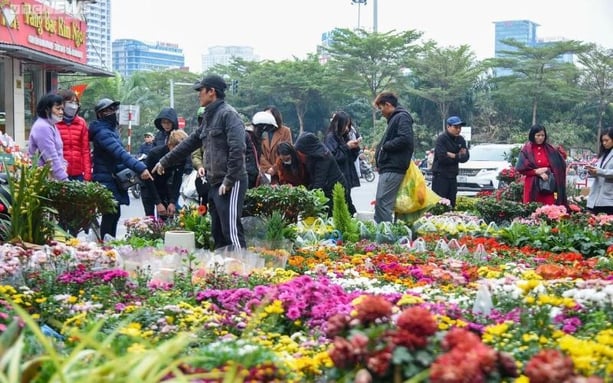 cho-hoa-tet-ha-noi-2026-05