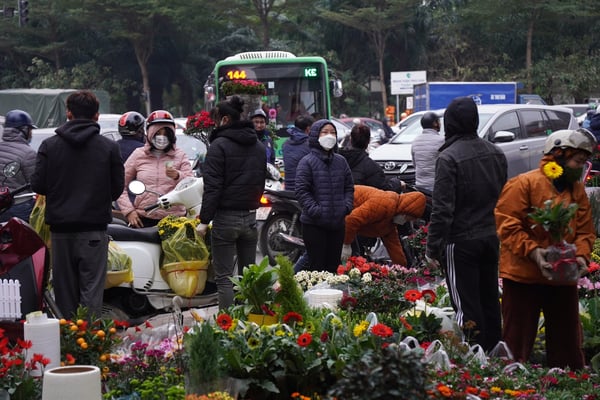 cho-hoa-tet-ha-noi-2026-07