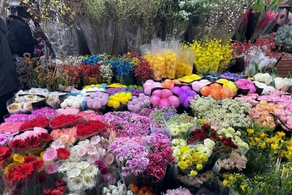 cho-hoa-tet-ha-noi-2026-08