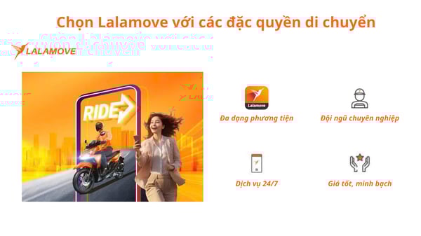 cho-hoa-tet-ha-noi-2026-10