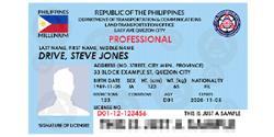 driver_s license