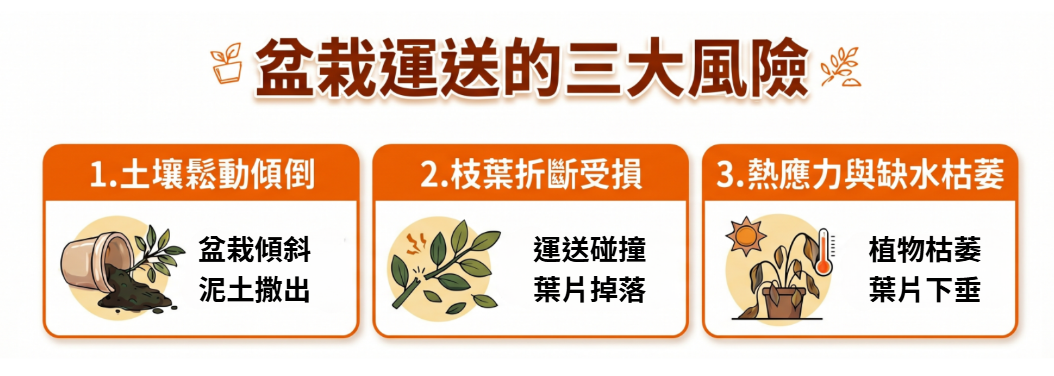 Lalamove_盆栽運送的三大風險