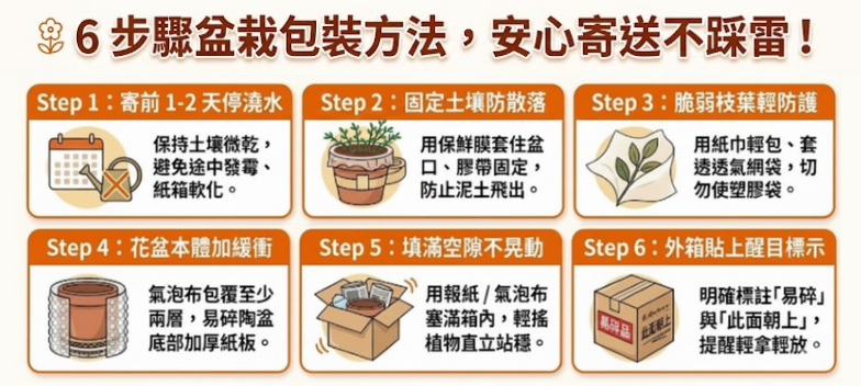 掌握6步驟！寄送植物更穩固