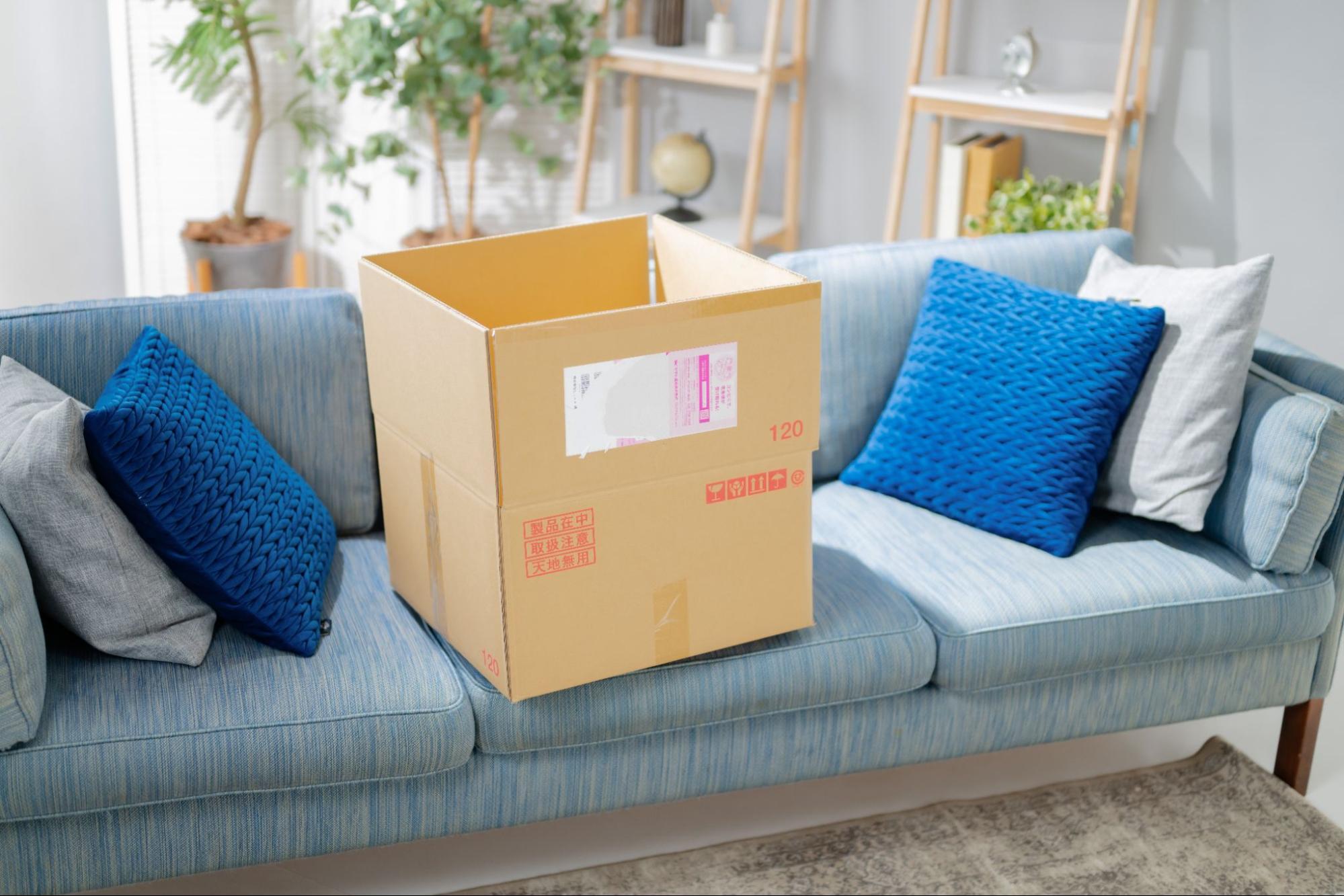 image3-Dec-12-2025-01-25-02-7326-AM