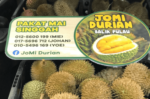 jomi durian balik pulau