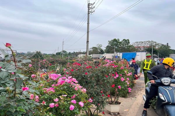 kinh-nghiem-mua-hoa-tai-cho-hoa-me-linh