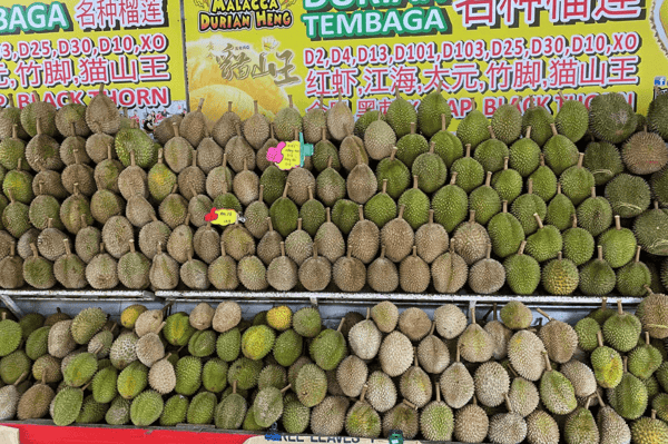malacca durian heng-1