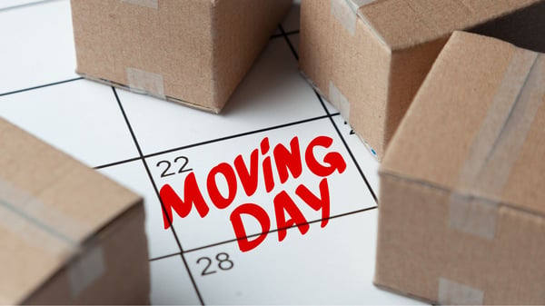 moving day