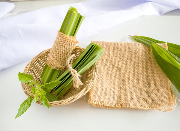 pandan leaves