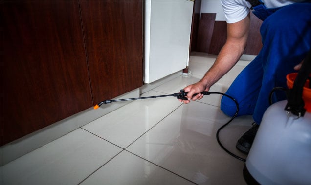 pest-control_home_shifting_BD