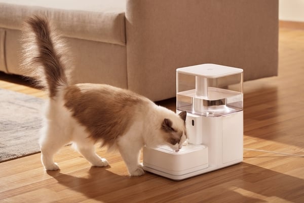 pet water fountain