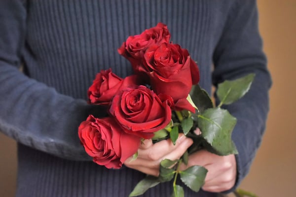 red roses on valentines day