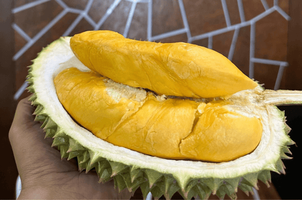 royal durian johor bahru