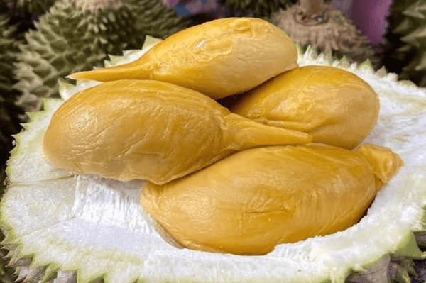 sca fruits enterprise durian