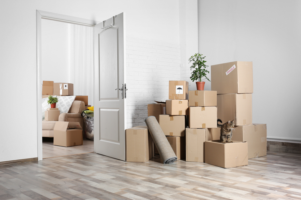 shutterstock_564626980-1