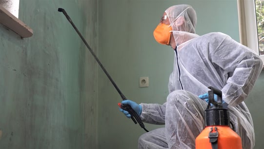 sureclean covid disinfection