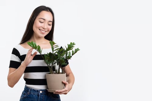 tanaman tumbuhan plant woman