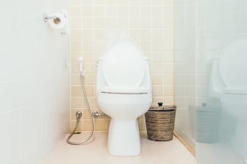 toilet wc kamar mandi (2)
