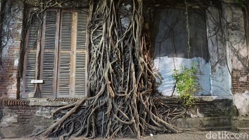 Rumah Akar Kota Lama Semarang